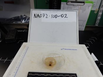 Media type: image;   Invertebrate Zoology 139304